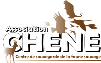 image001 Logo chene